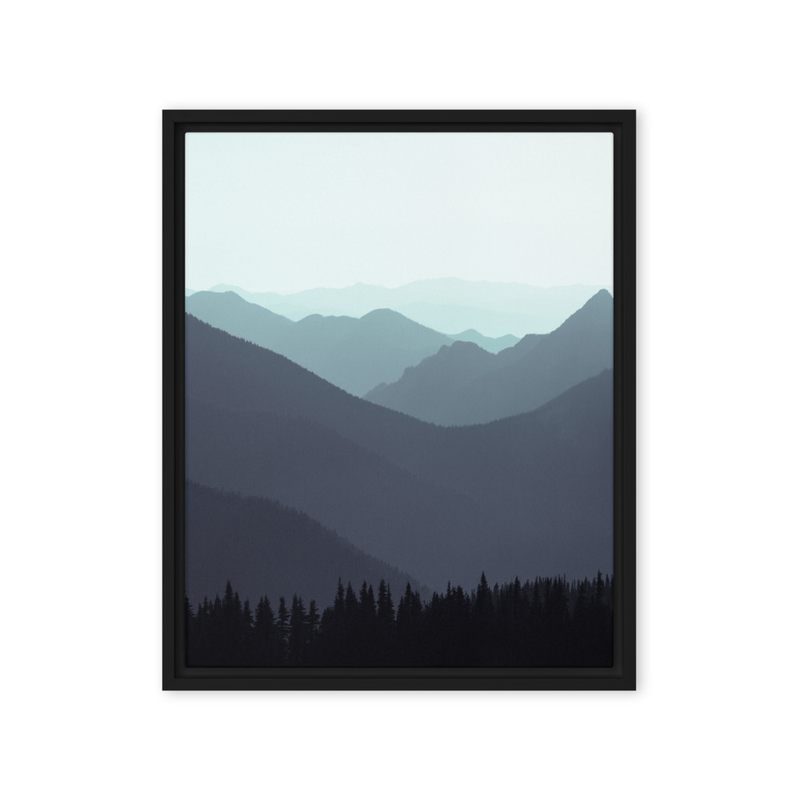 "Olympic Blues" | Olympic National Park, WA