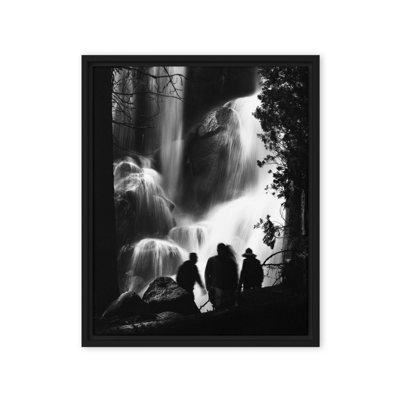 "Grizzly Spirits" | Sequoia National Park, CA