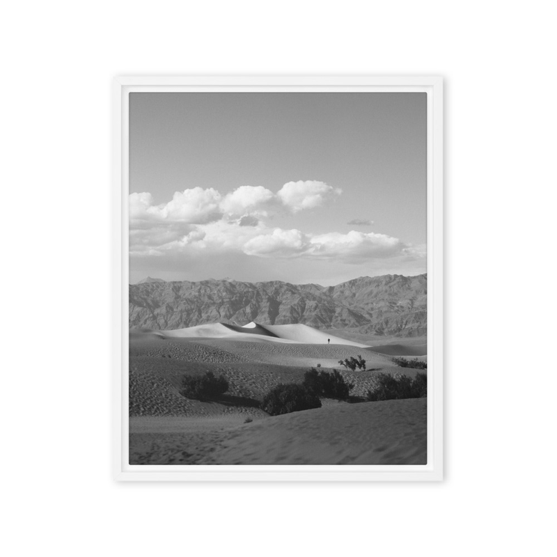"Mesquite: Alone" | Death Valley National Park, CA