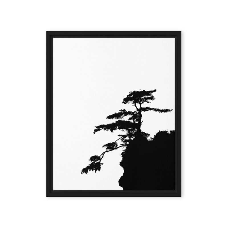 "Growing Shadow" | Olympic National Park, WA
