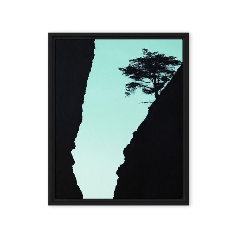 "Solace Between" | Olympic National Park, WA