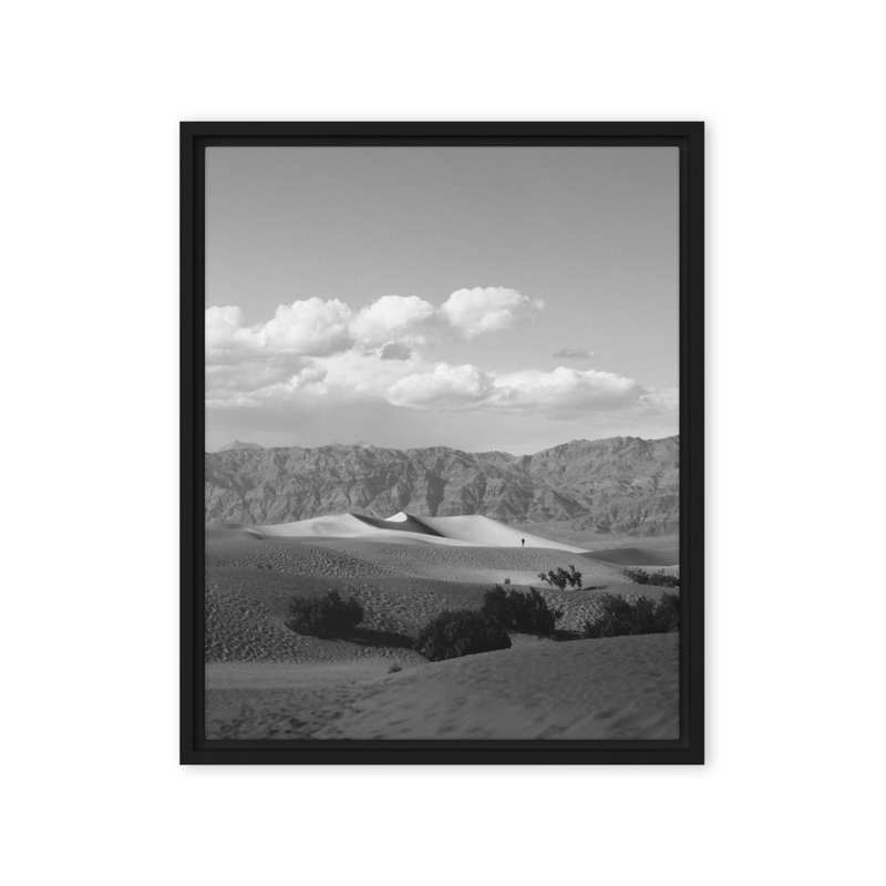 "Mesquite: Alone" | Death Valley National Park, CA
