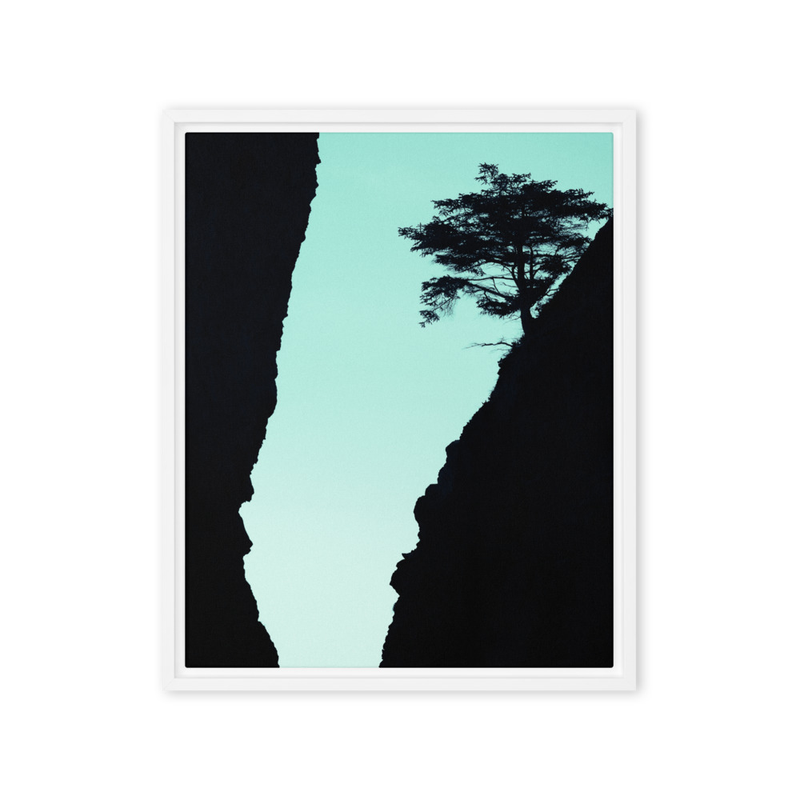 "Solace Between" | Olympic National Park, WA