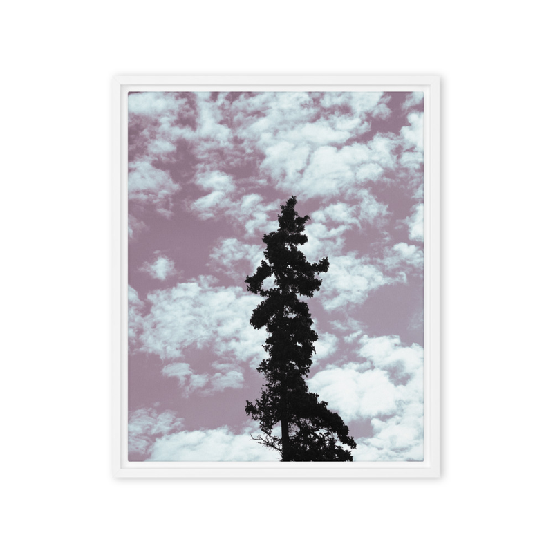 "Kincaid: Alone" | Anchorage, AK
