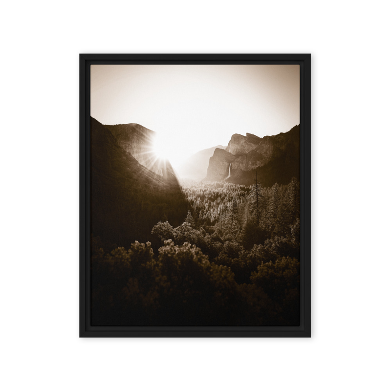 "Flooded With Light" | Yosemite National Park, CA