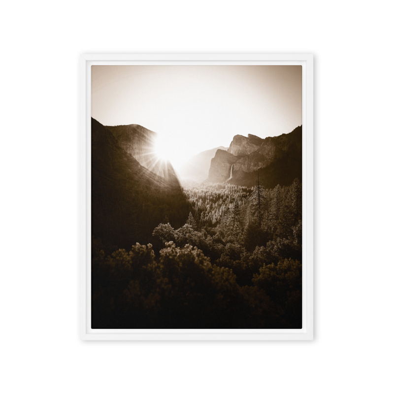 "Flooded With Light" | Yosemite National Park, CA