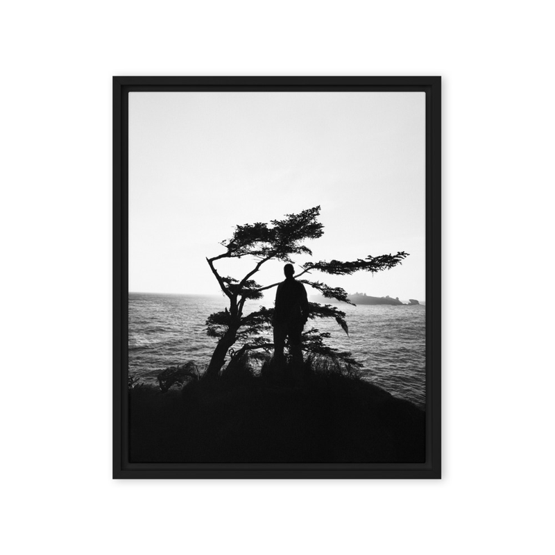 "Becoming Shadow" | Olympic National Park, WA
