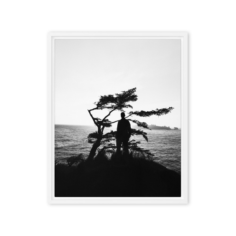"Becoming Shadow" | Olympic National Park, WA