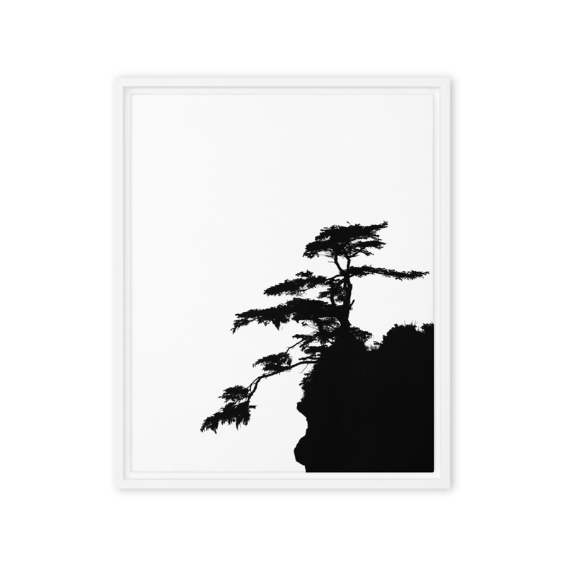 "Growing Shadow" | Olympic National Park, WA