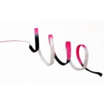 Ribbon Pastorelli shaded Black-Fuchsia-White FIG