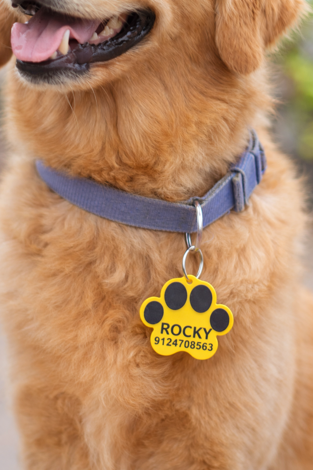 Personalized Pet ID Tag