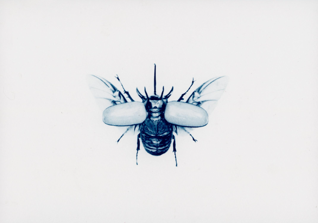 Insect Art Print