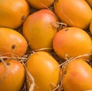 Alphonso Mangoes