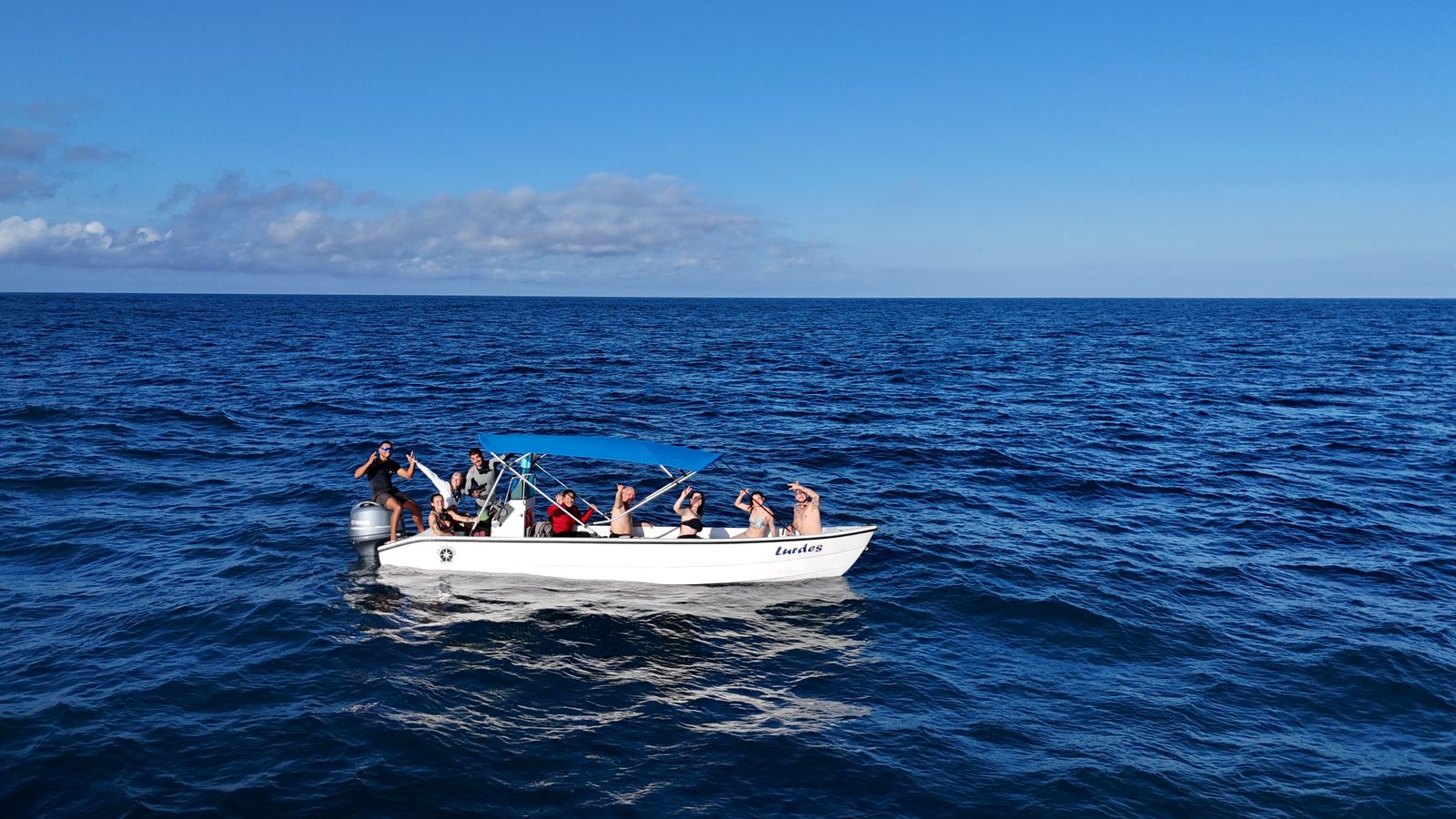 The Ocean Safari 