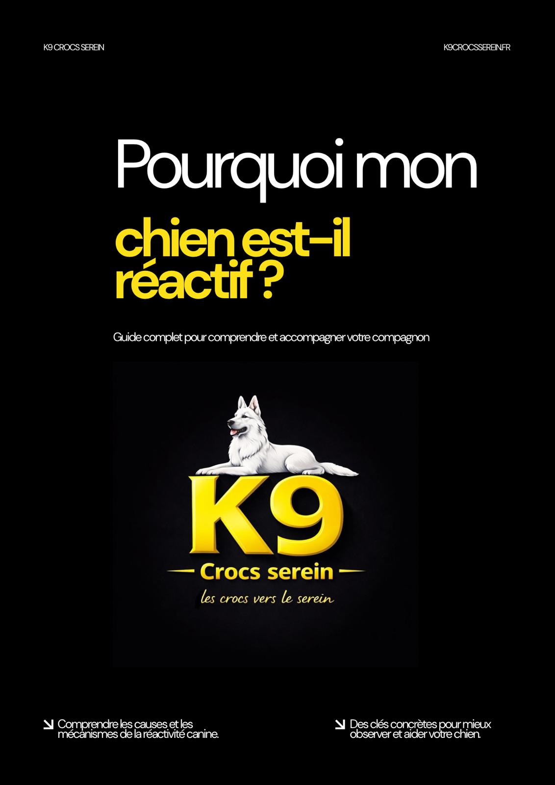  Le guide de K9 Crocs Serein : Pourquoi mon chien est-il réactif ?