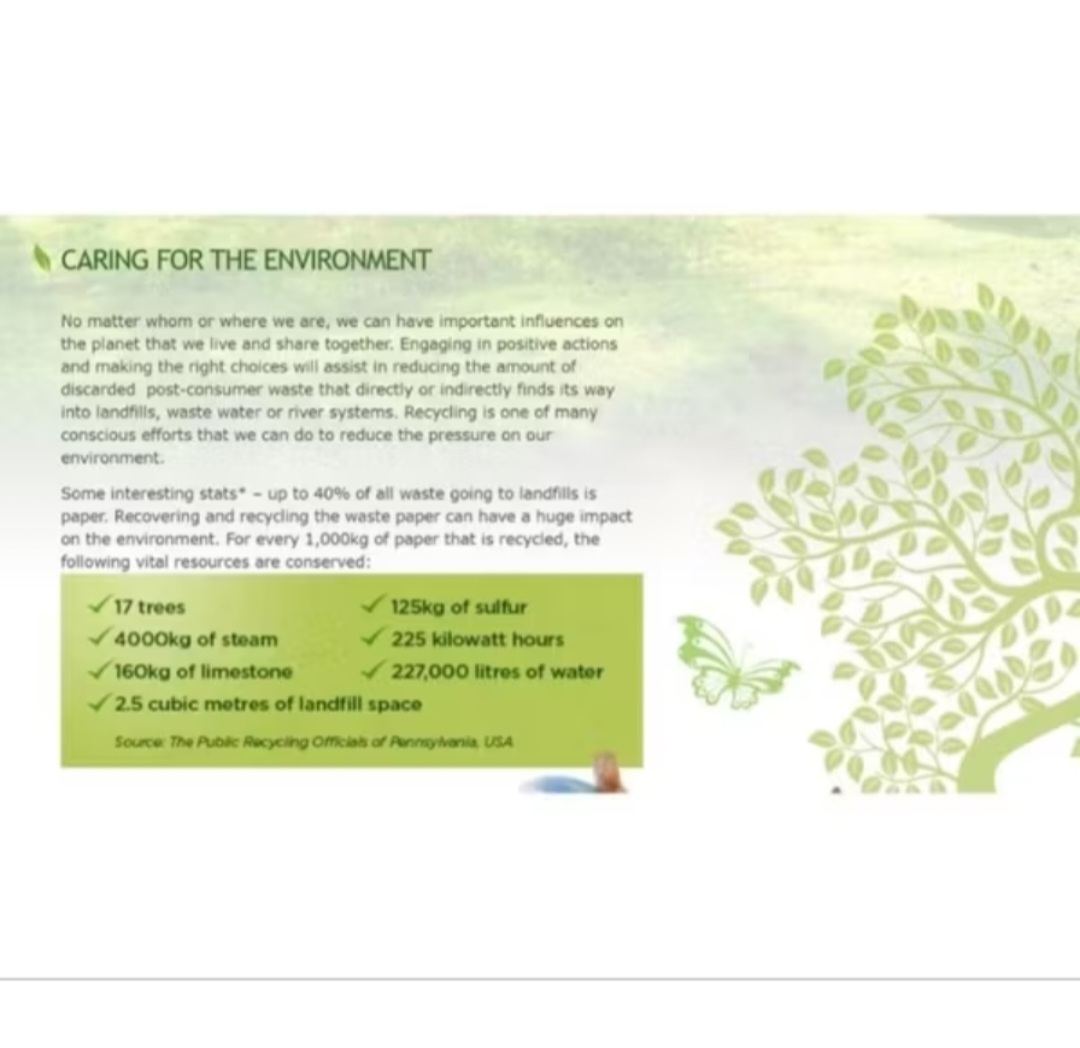 (Bundle Of 2/4)Nature's Eco Cat Litter (30L)