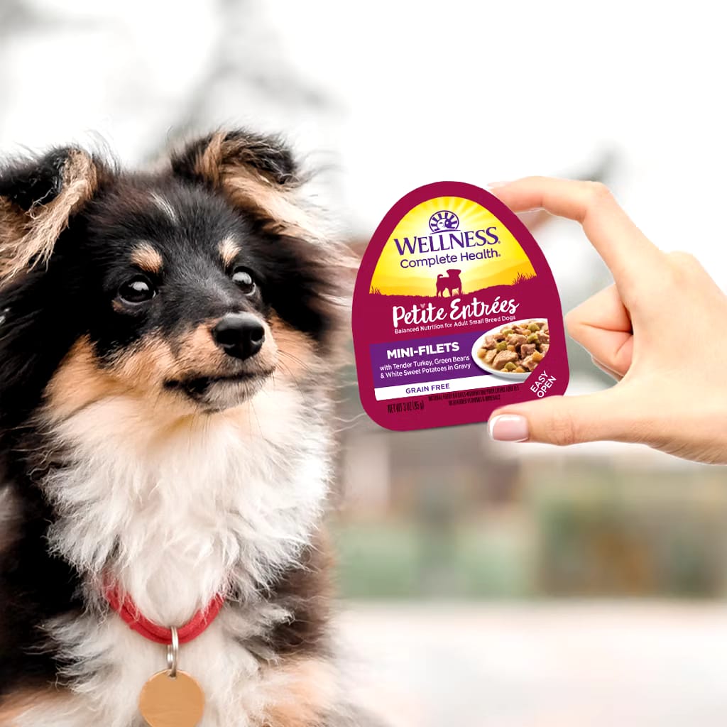 Wellness Complete Health - Petite Entrées - Small Breed Dog Wet Food 3oz (85g) | 10 Tasty Flavours