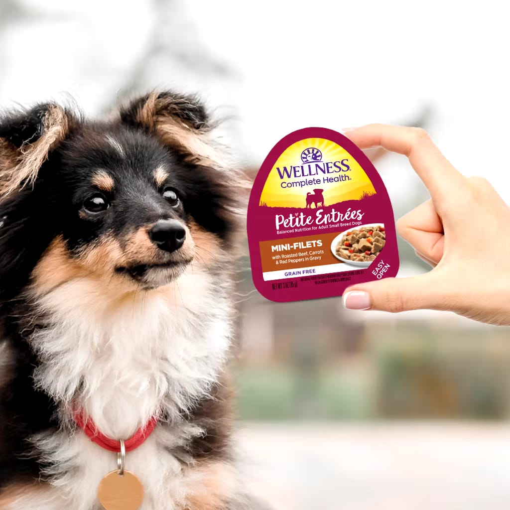 Wellness Complete Health - Petite Entrées - Small Breed Dog Wet Food 3oz (85g) | 10 Tasty Flavours