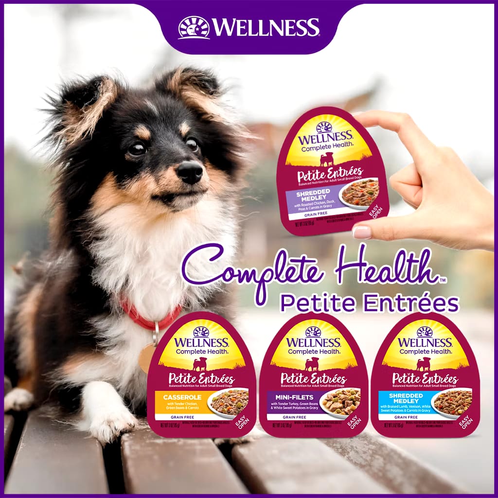 Wellness Complete Health - Petite Entrées - Small Breed Dog Wet Food 3oz (85g) | 10 Tasty Flavours