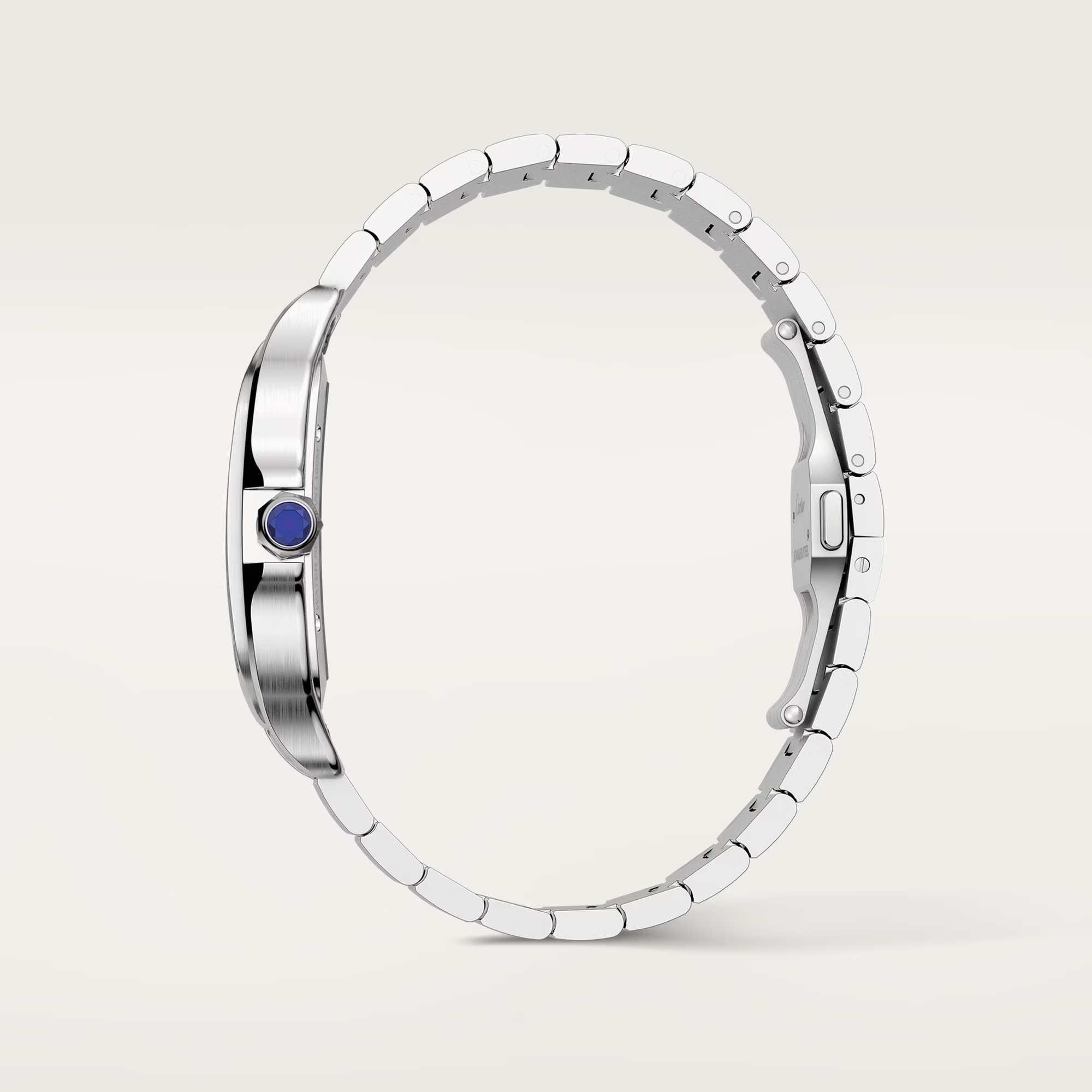 Santos de Cartier skeleton