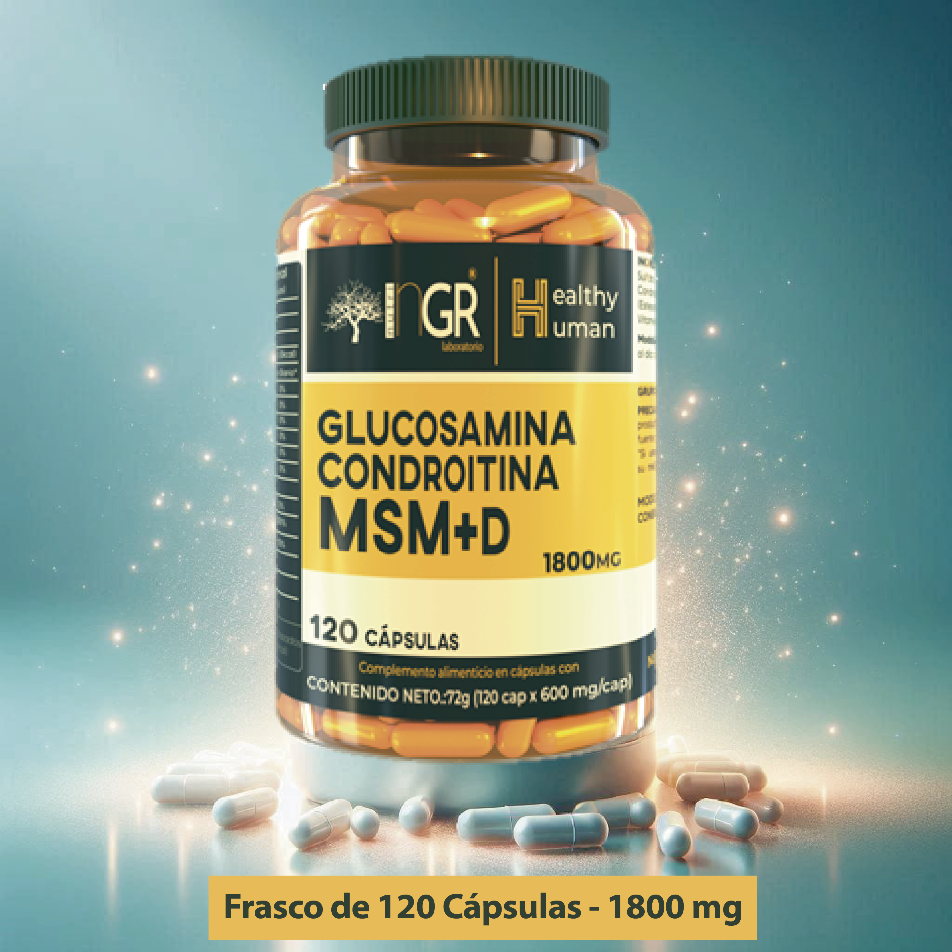 Glucosamine Chondroitin MSM + D Capsules