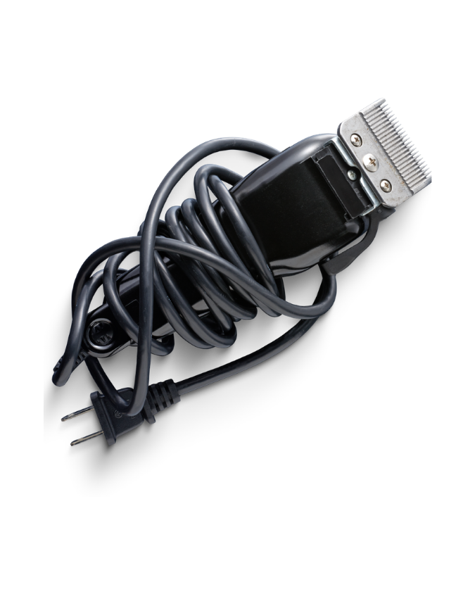 Head Shave + Face Trim