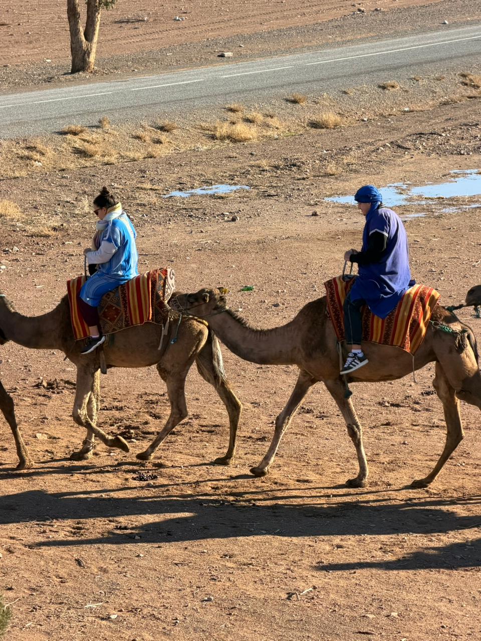 Camel Ride & Paragliding Experience in Aguergour
