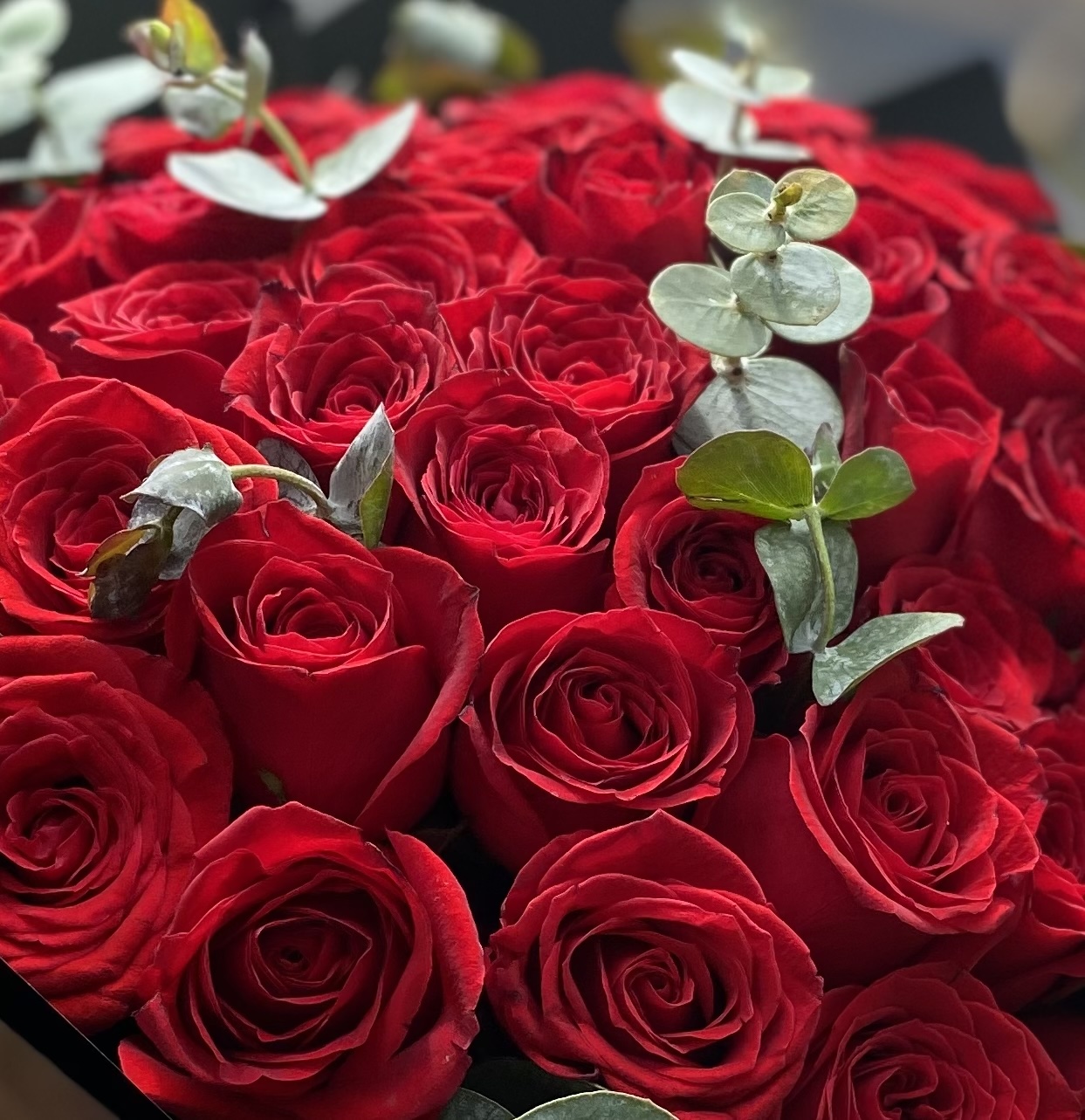 Bouquet De 50 Rosas Rojas