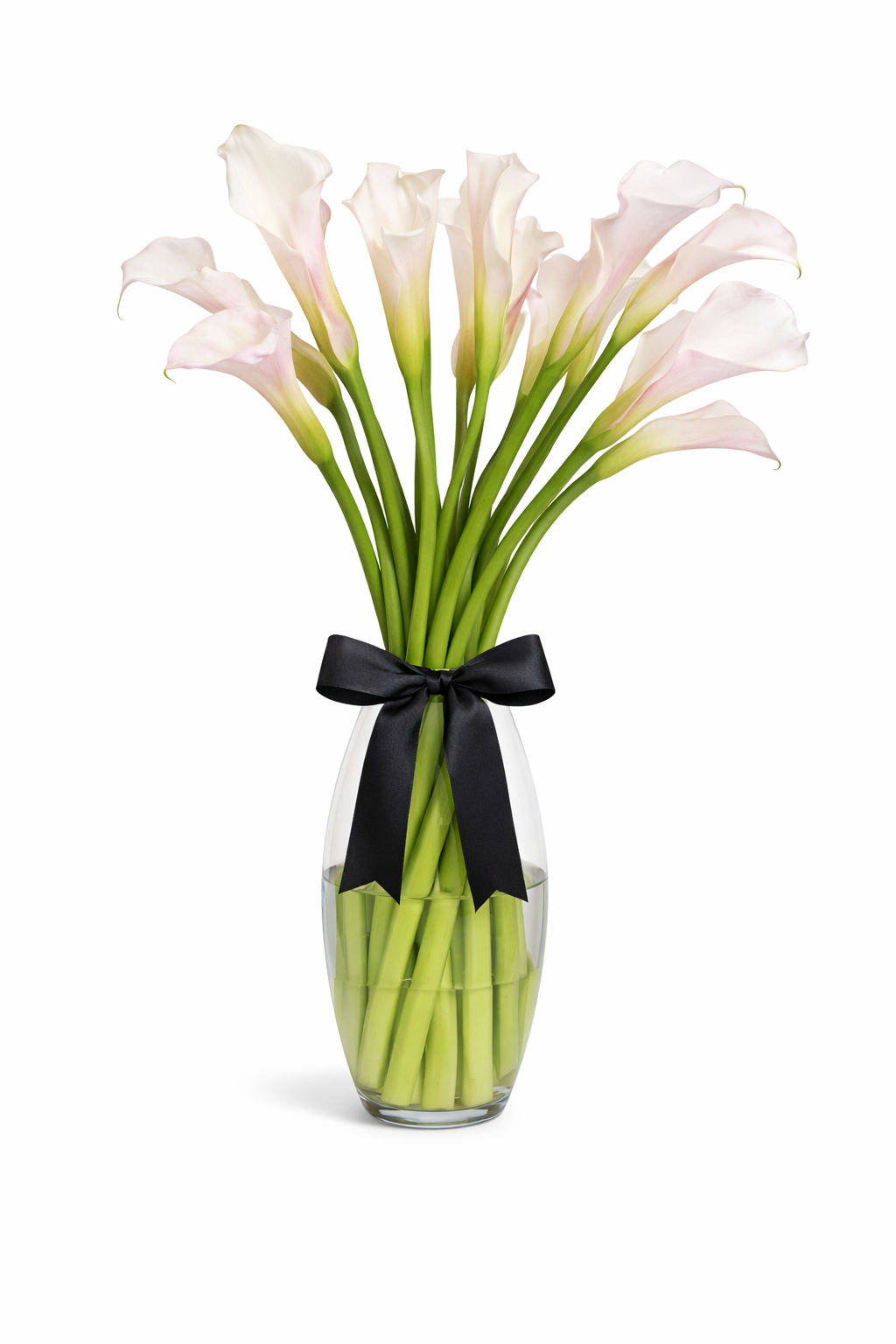 Arreglo De Alcatraces