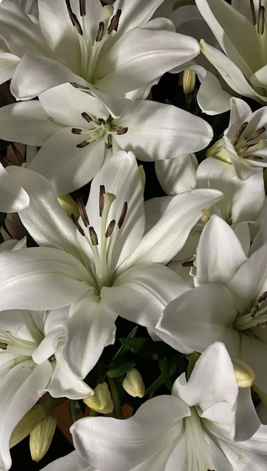 Elegante Bouquet De Lirios