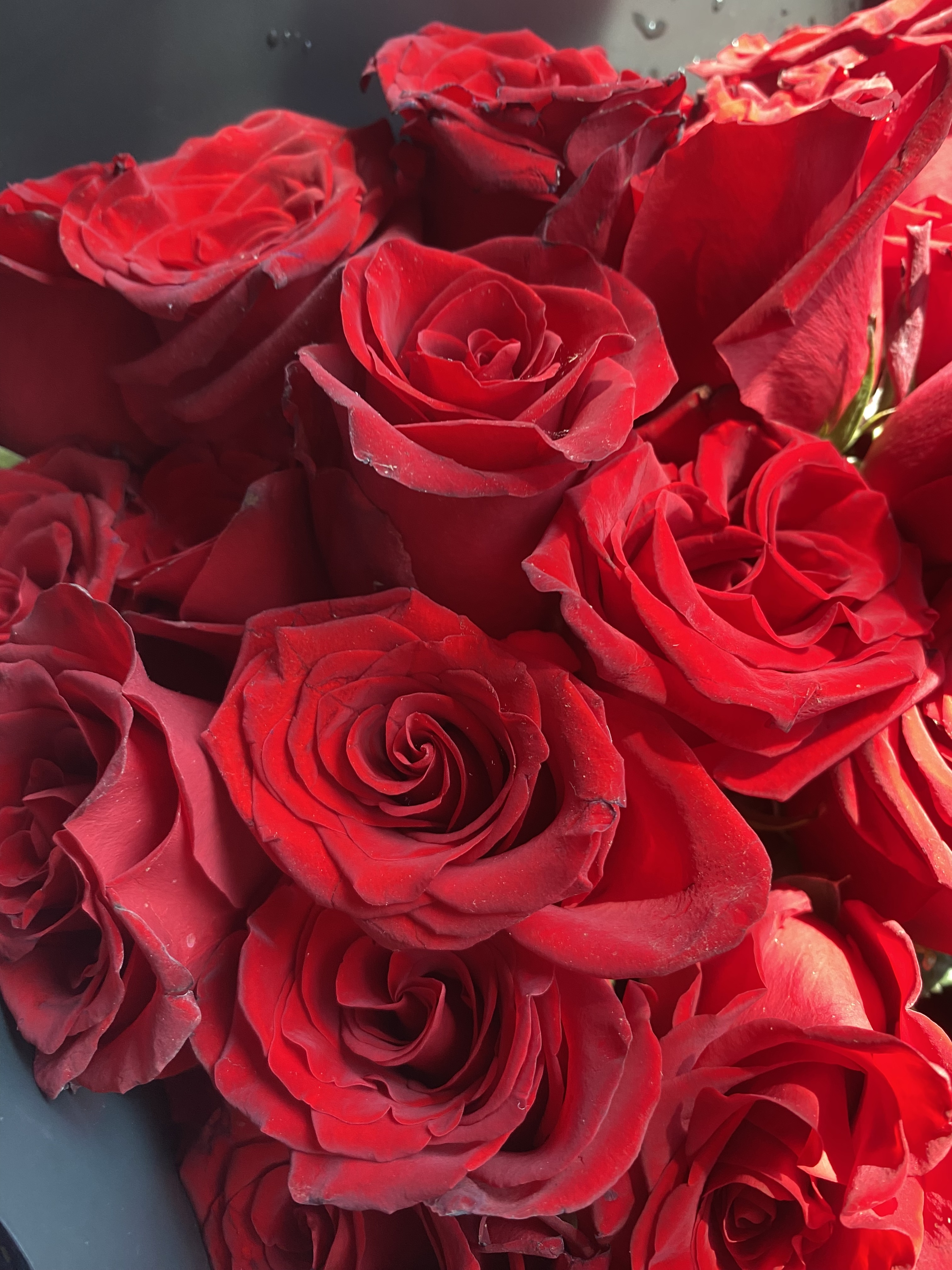 Ramo de 24 Rosas Rojas Frescas