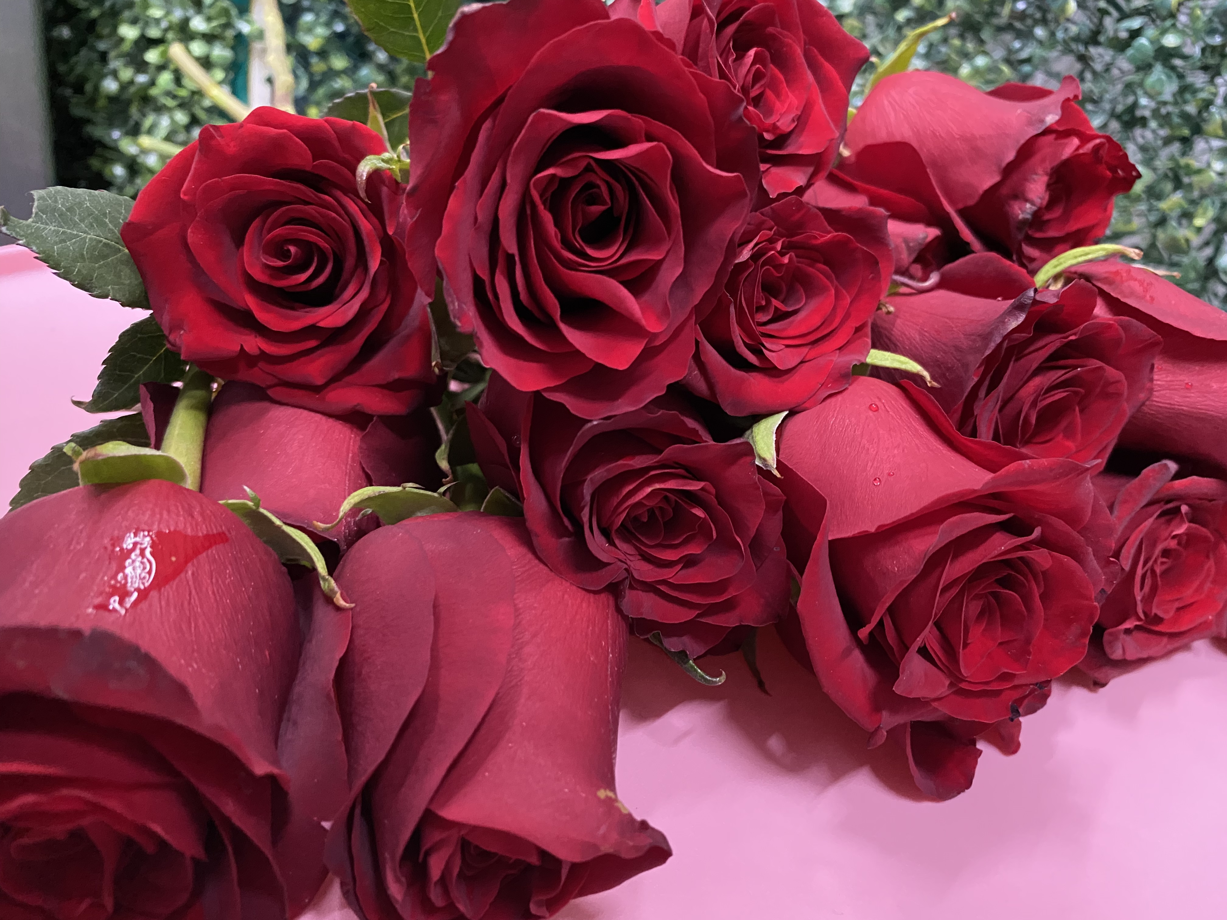 Ramo De 12 Rosas Rojas Frescas