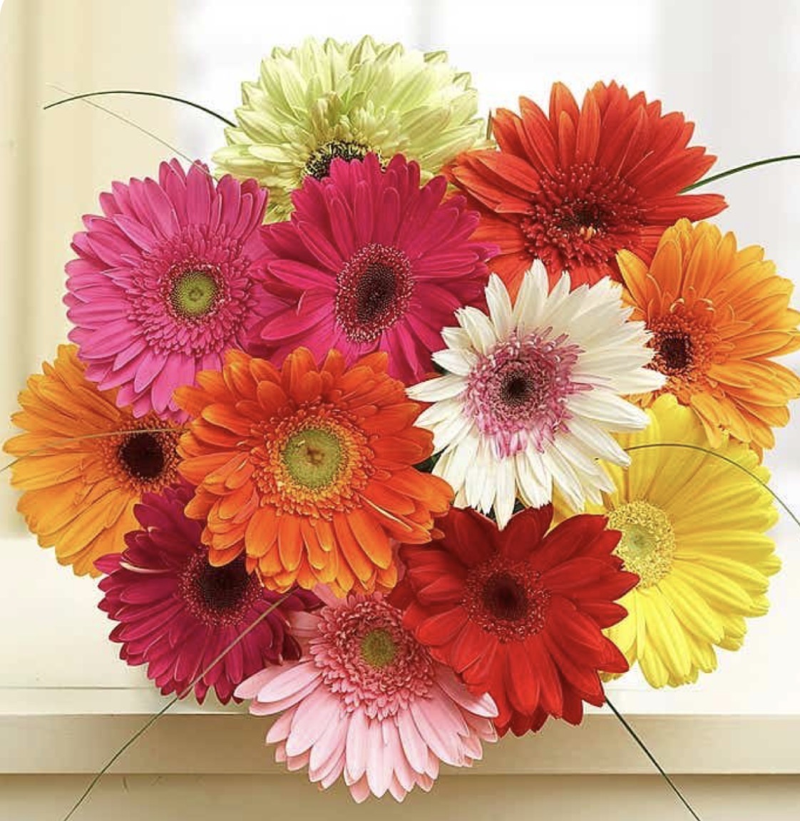 Bouquet De 12 Gerberas