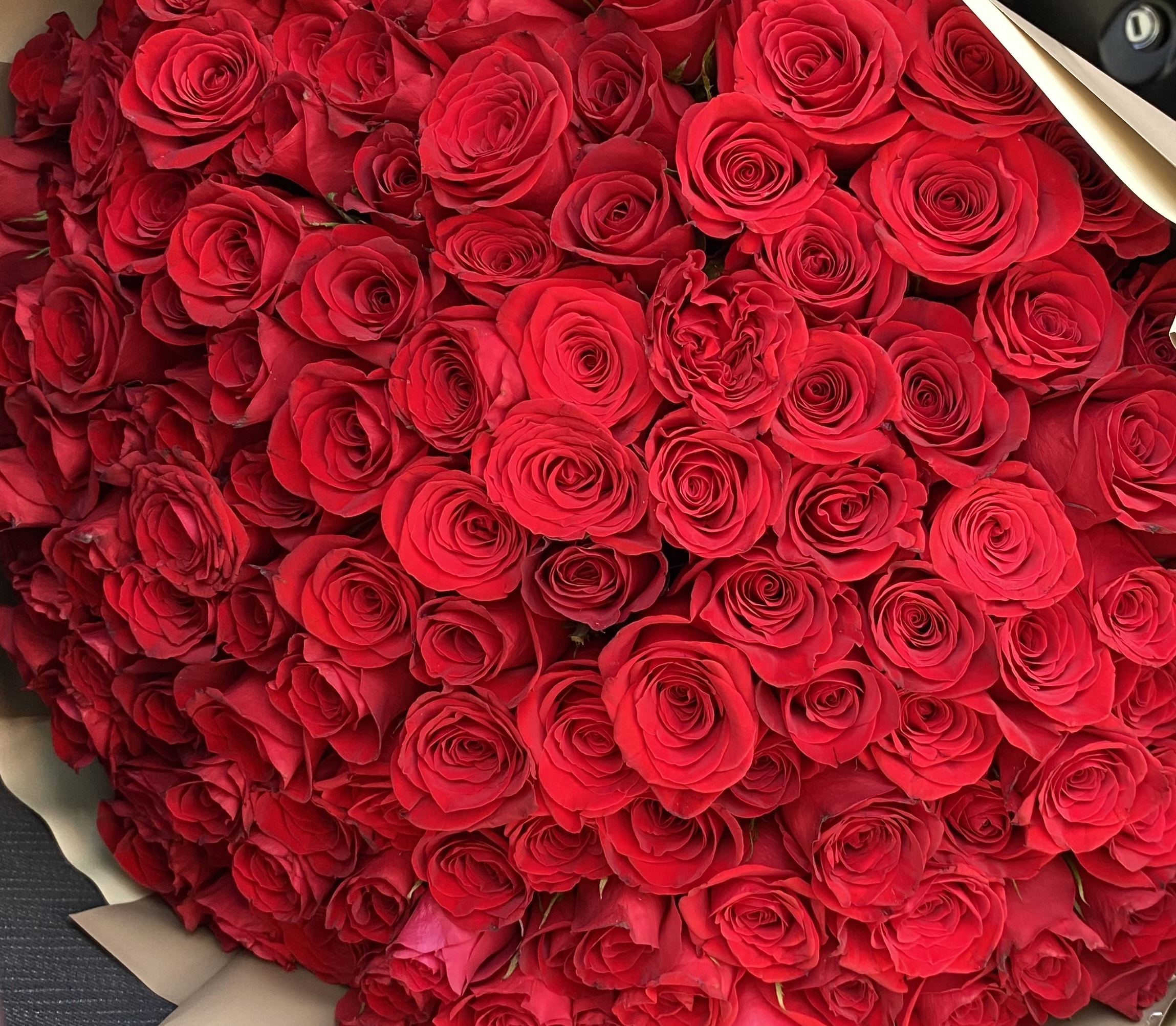 Bouquet De 100 Rosas Rojas