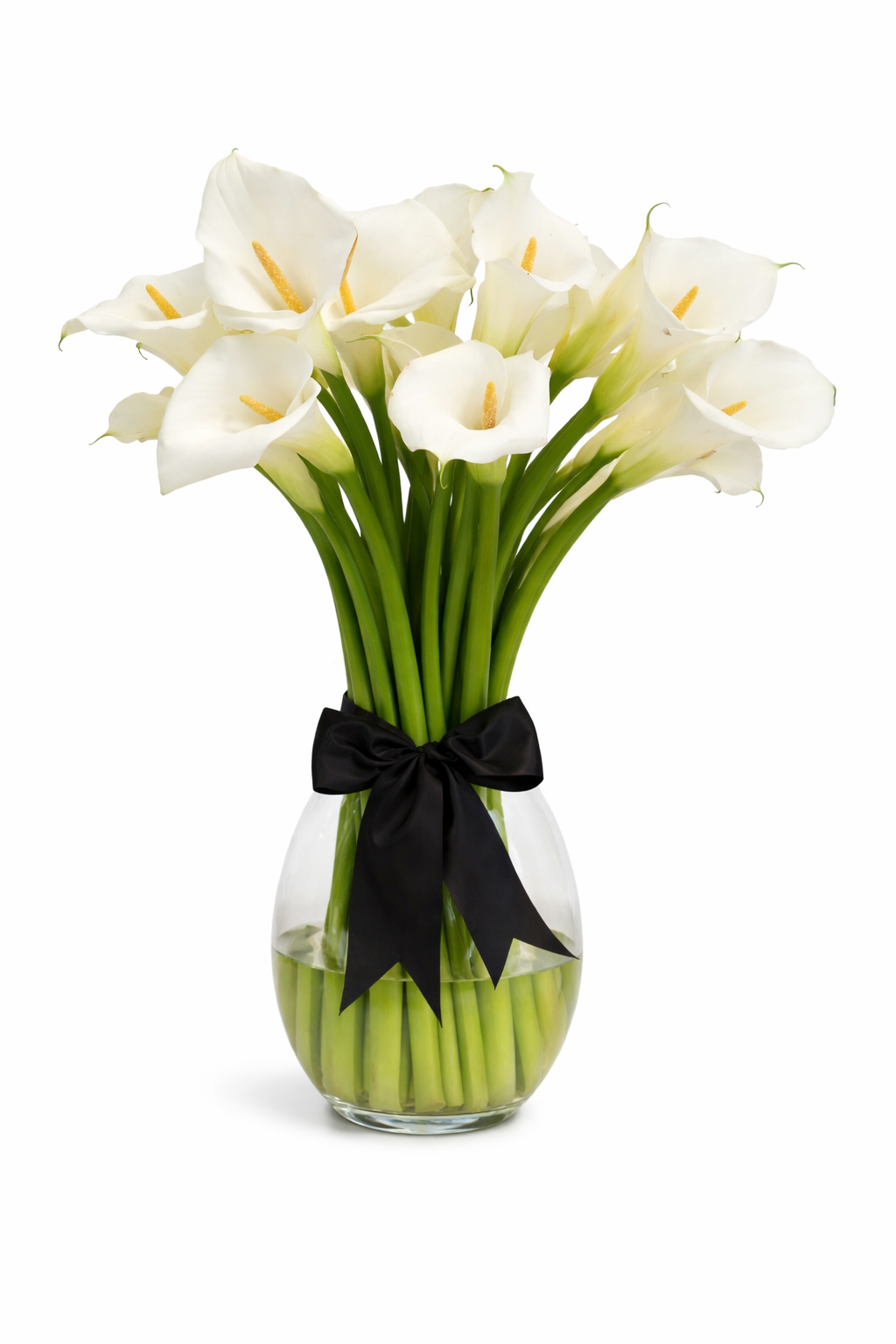 Arreglo De Alcatraces