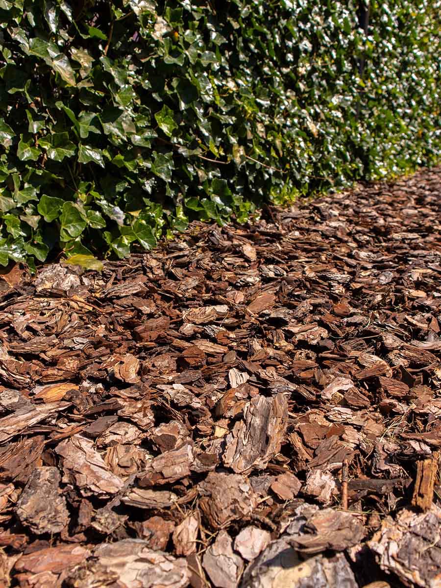 Bolsón de Chip Corteza De Pino  