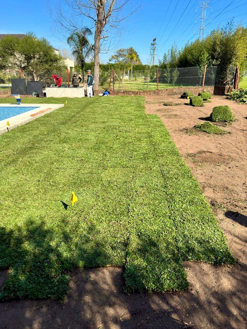 Servicio de Parquizacion ( Nivelación y Colocación en Césped)