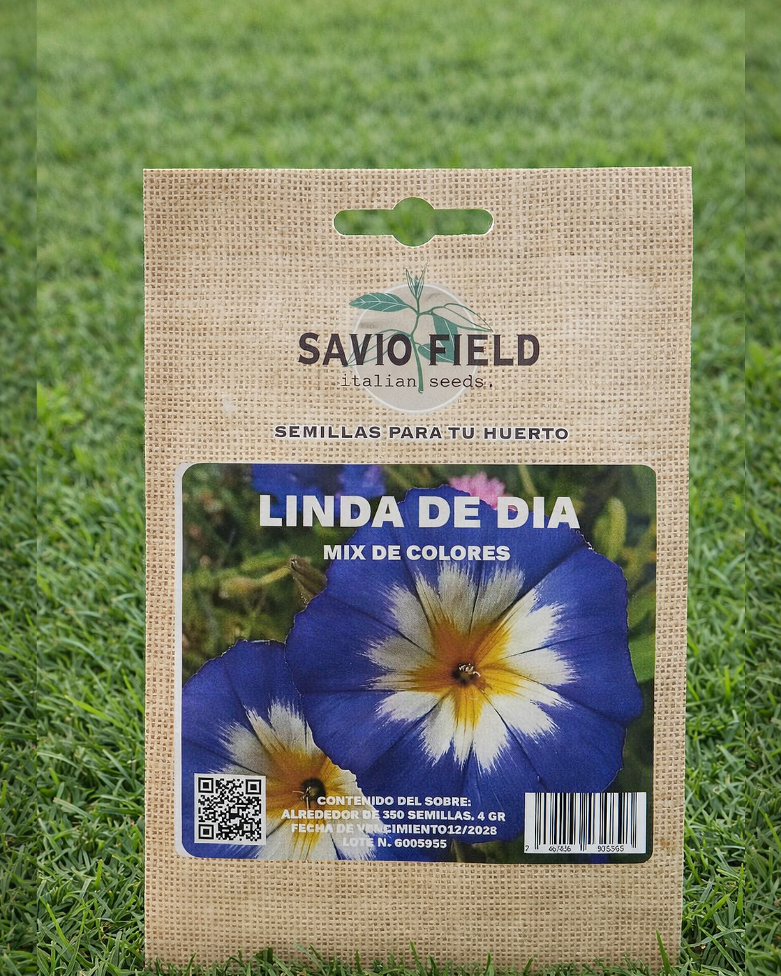 Semillas de Flores Linda De Día