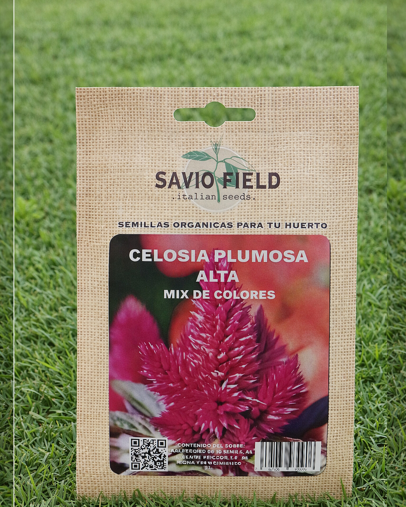 Semillas de Celosia Plumosa Roja