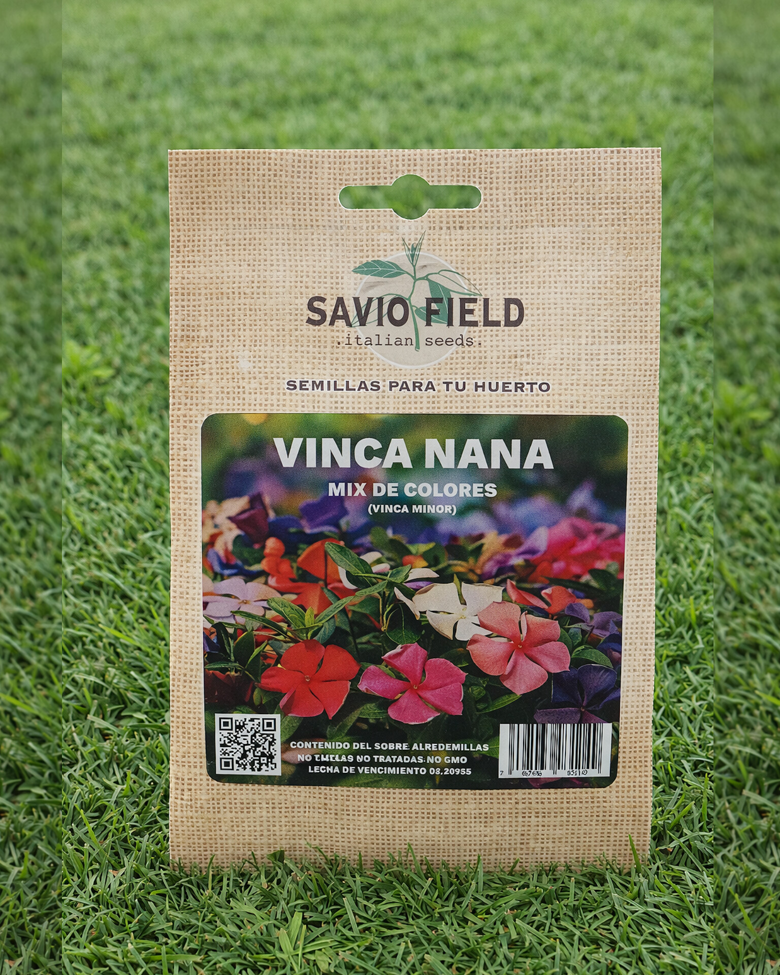 Semillas de Vinca Nana Multicolor