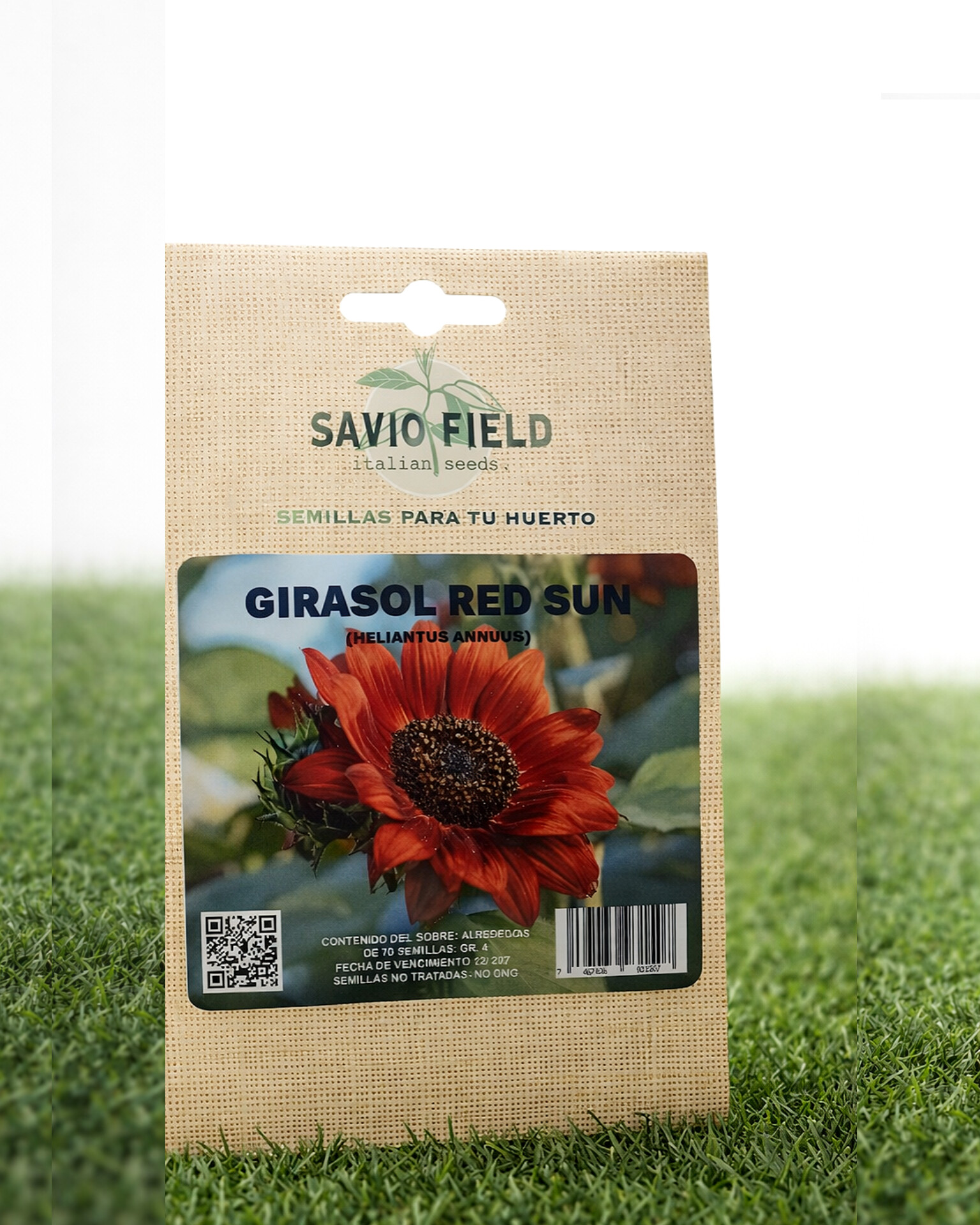 Semillas de GIRASOL RED SUN (COMESTIBLE)
