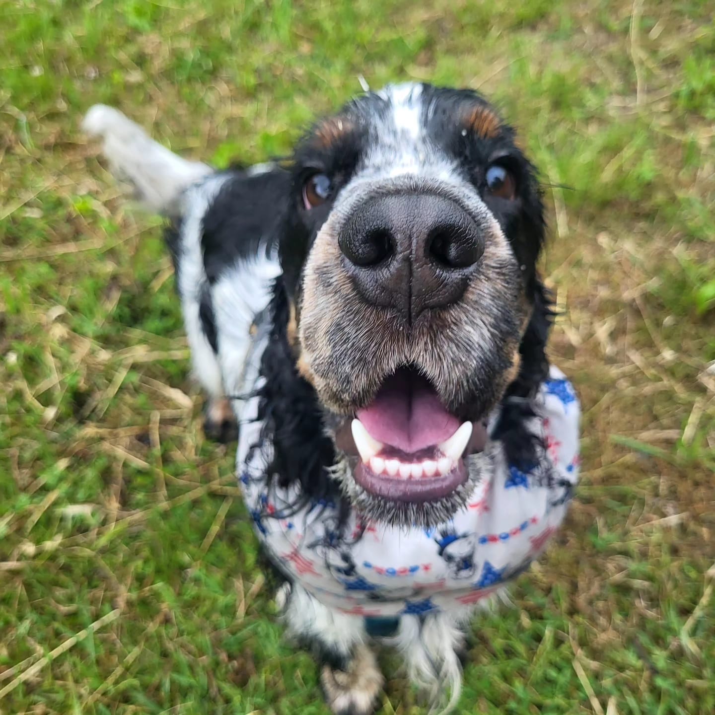 Initial consultation