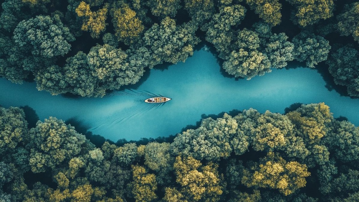 Sundarbans Safari & UNESCO Heritage Tour: 7 Days in Bangladesh