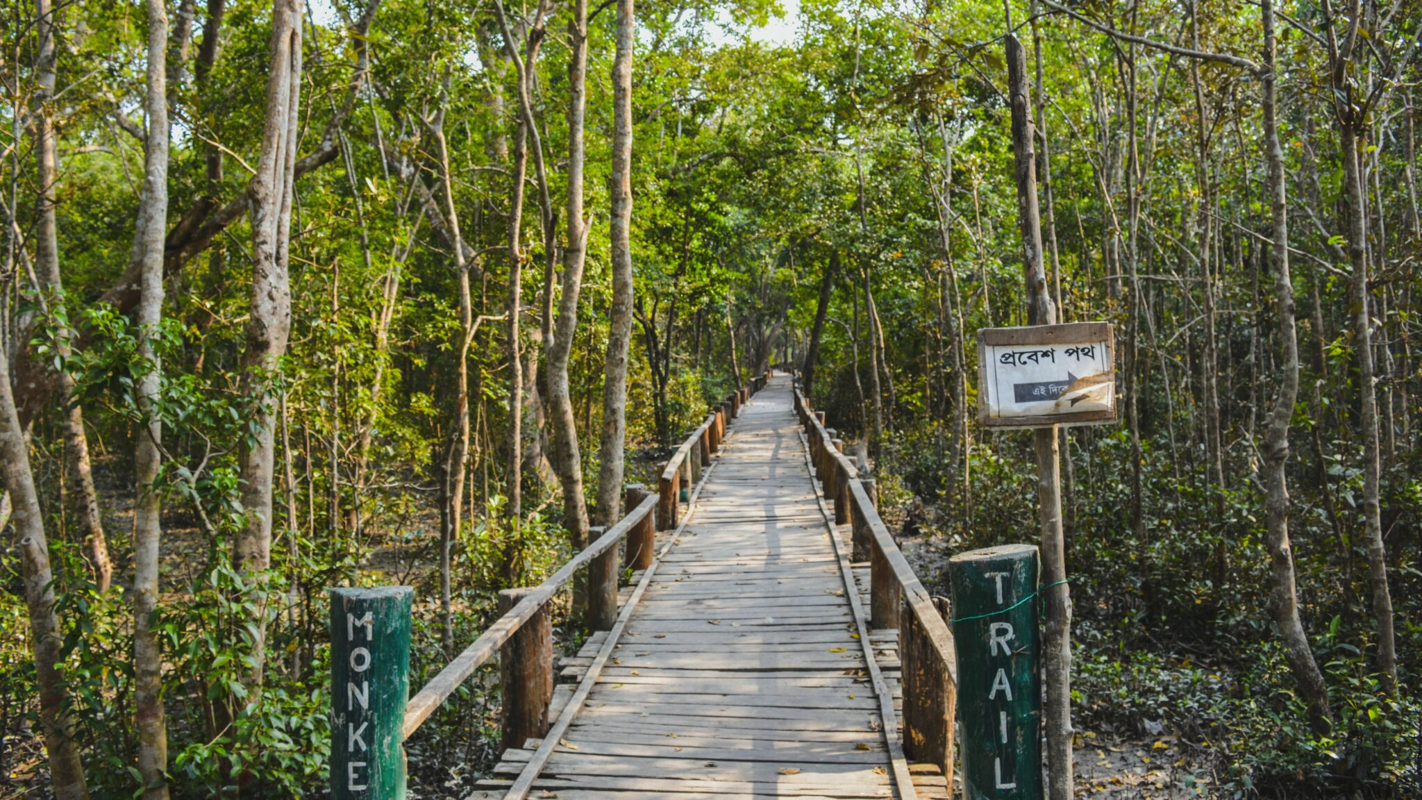 Sundarbans Safari & UNESCO Heritage Tour: 7 Days in Bangladesh