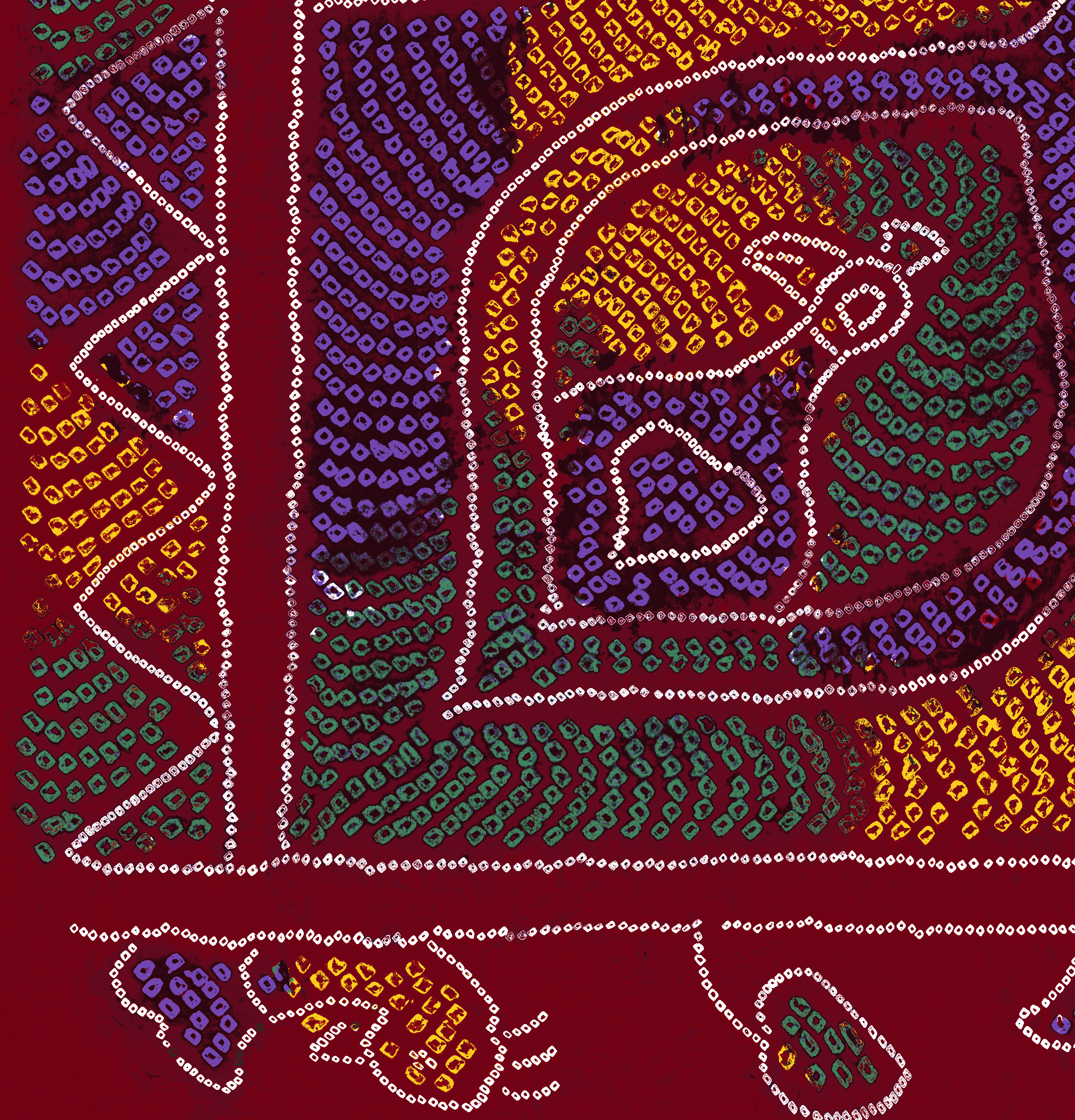 Digital Kalamkari Art Pattern