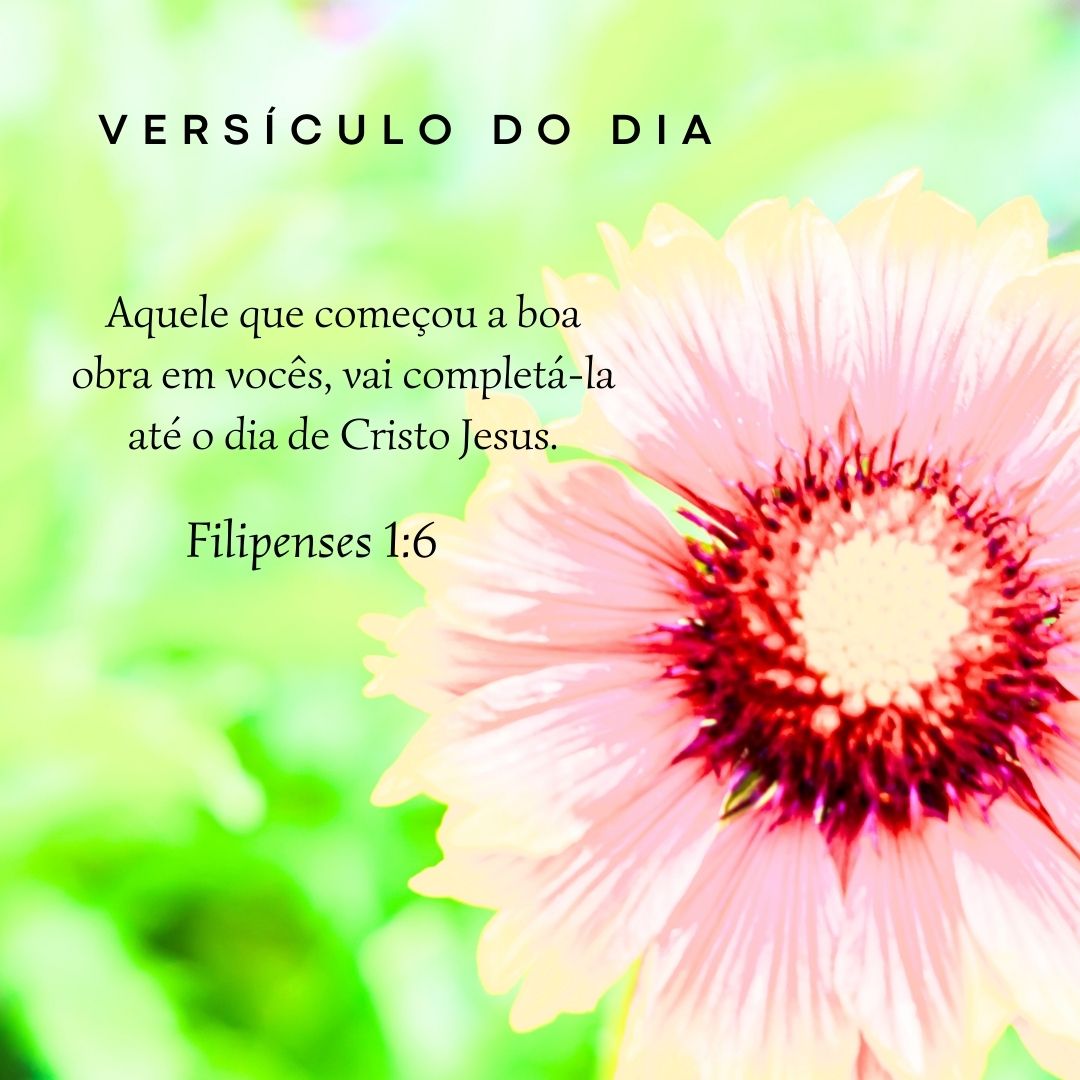 Kit de 12 Artes Religiosas