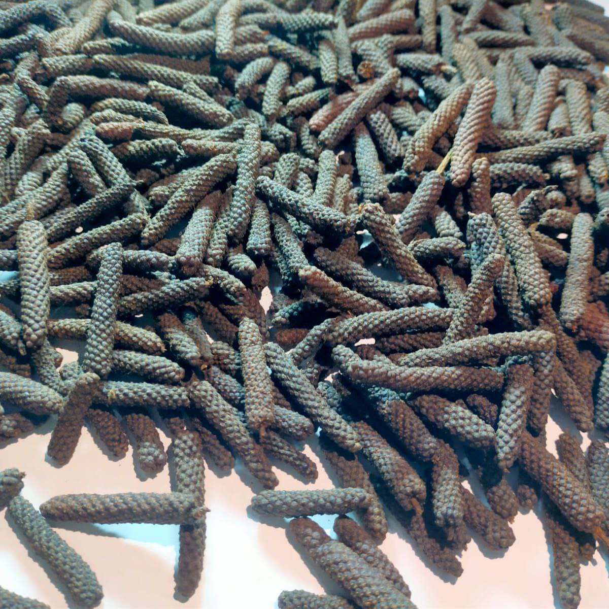 Long Pepper Premium Whole