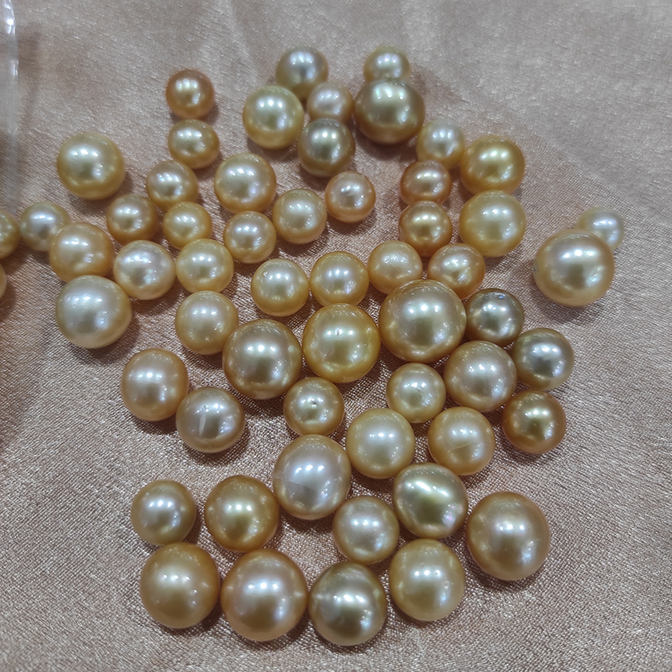 1 lot of Gold South Sea Pearls-A Grade