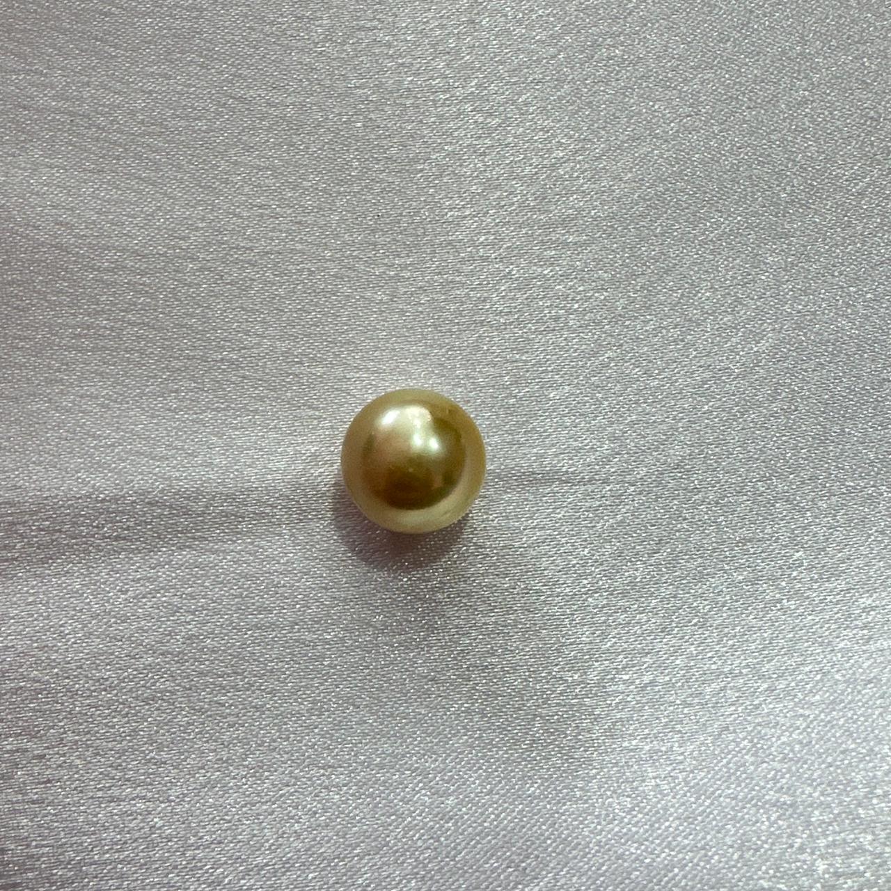 Golden South Sea Pearl
