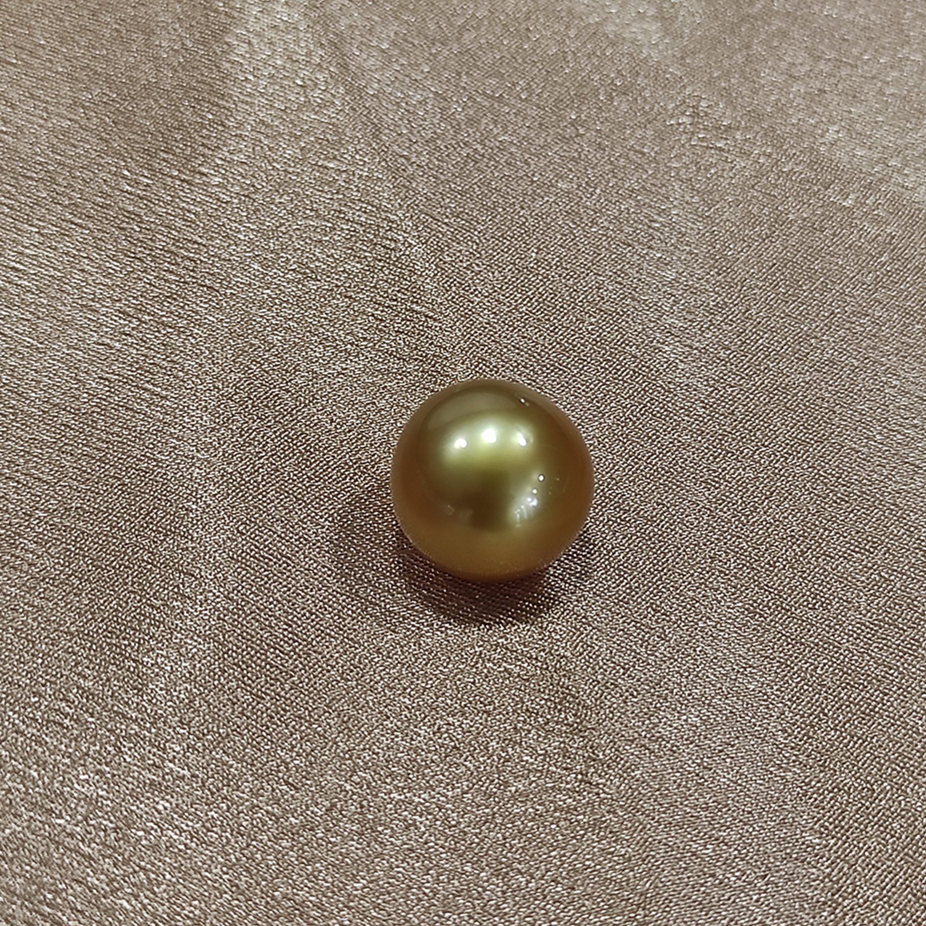 1 lot of Golden South Sea Pearls AA Grade